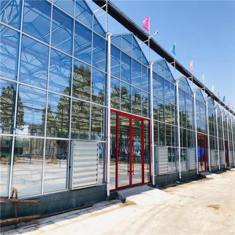 The Evolution and Innovation of Glass Greenhouses - Qingzhou Jinxin ...