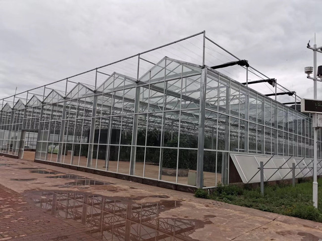indoor glass greenhouse