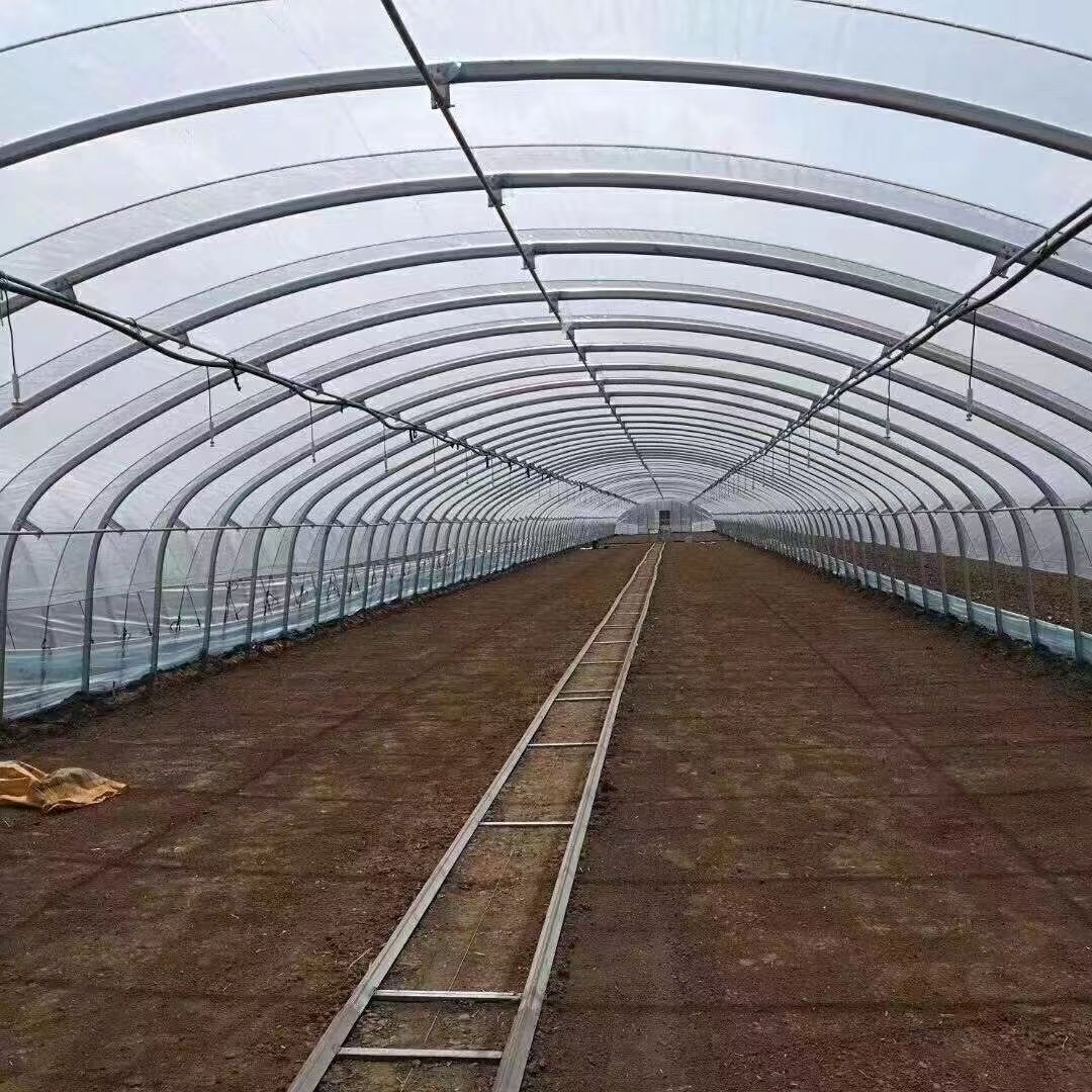 Greenhouse