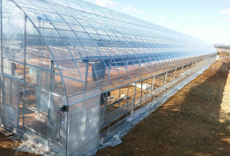 Film Greenhouses