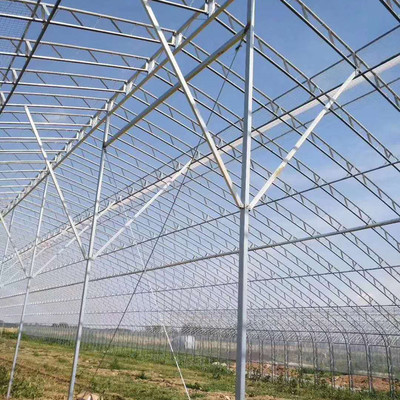 Innovations in Greenhouse Frame Technology: The Qingzhou Jinxin Contribution