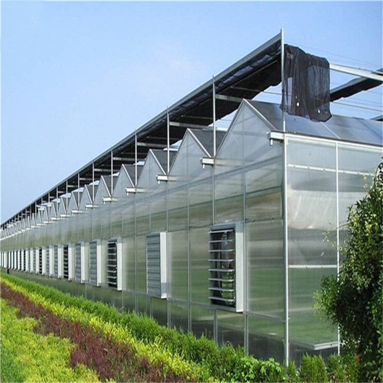 Greenhouse