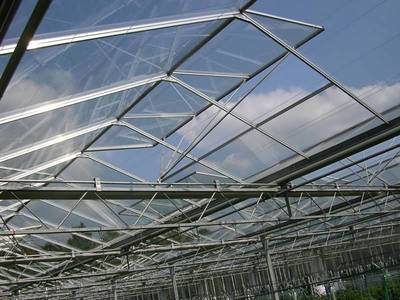 Glass Greenhouse