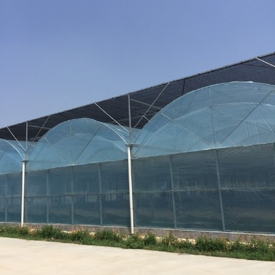 Greenhouse