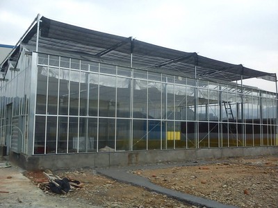 Advantages and disadvantages of glass greenhouses
