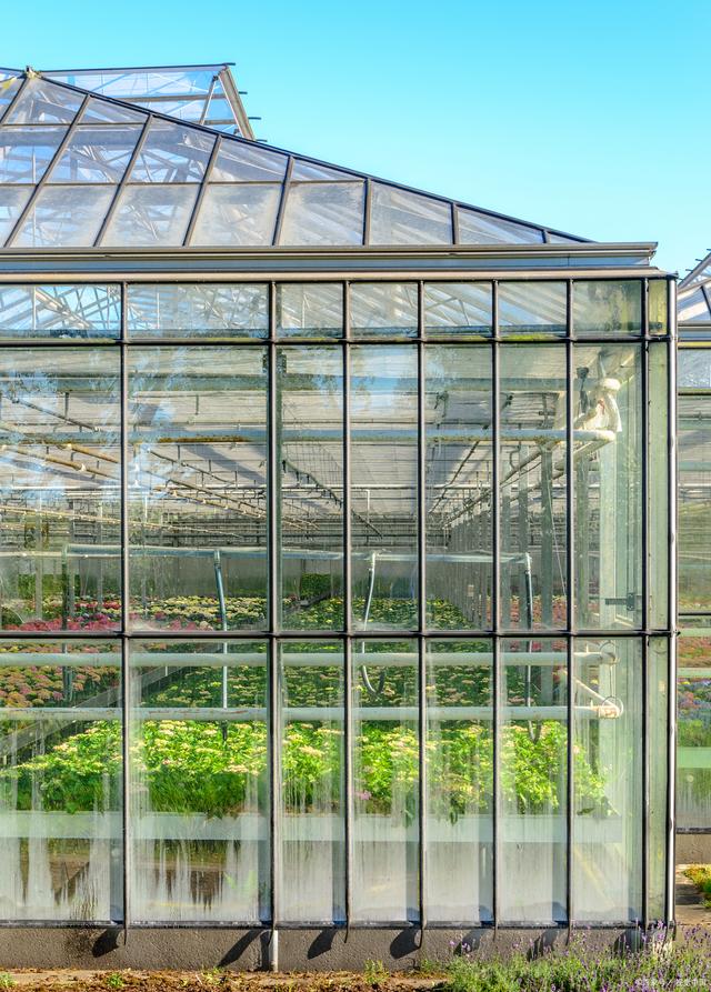Glass Greenhouse