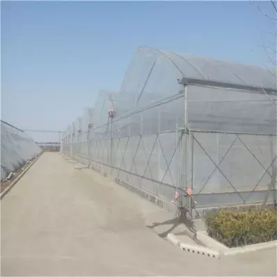 Thin Film Greenhouses: Revolutionizing Protected Agriculture