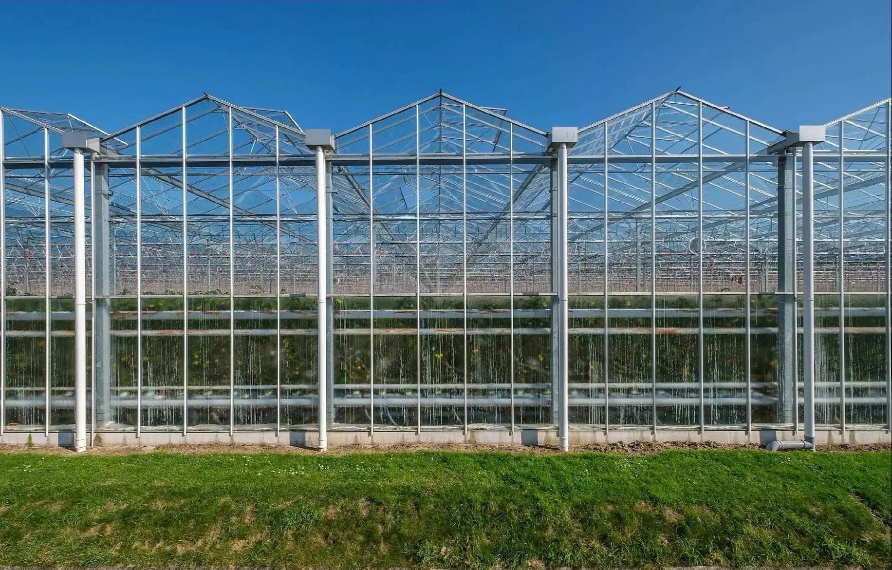 Greenhouse