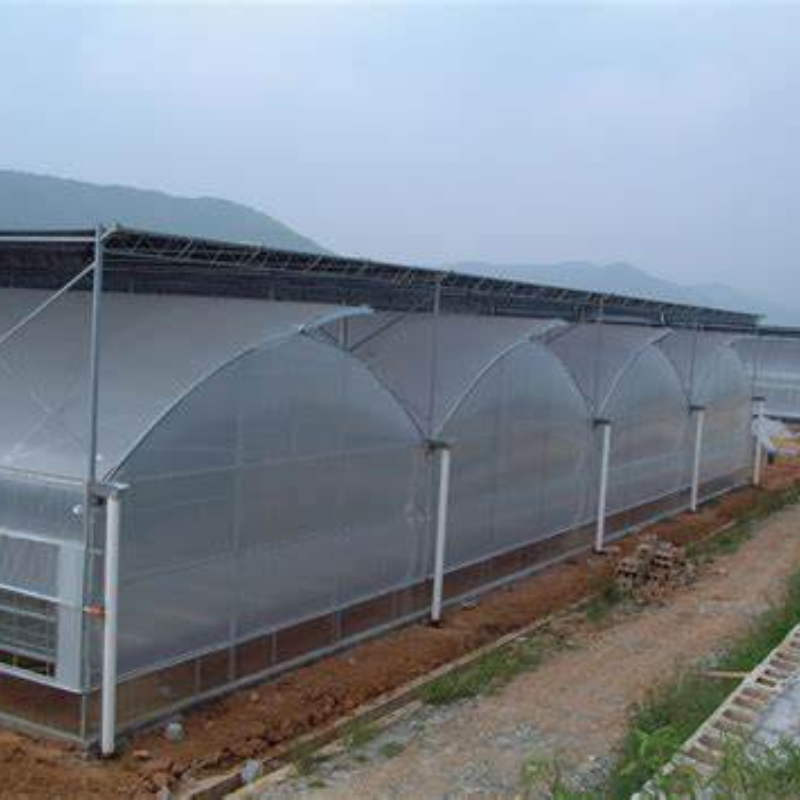 Agriculture Intelligent-Driven Green Houses Designs: Glass Structures and Grow Rack Systems for the Yangtze River Basin