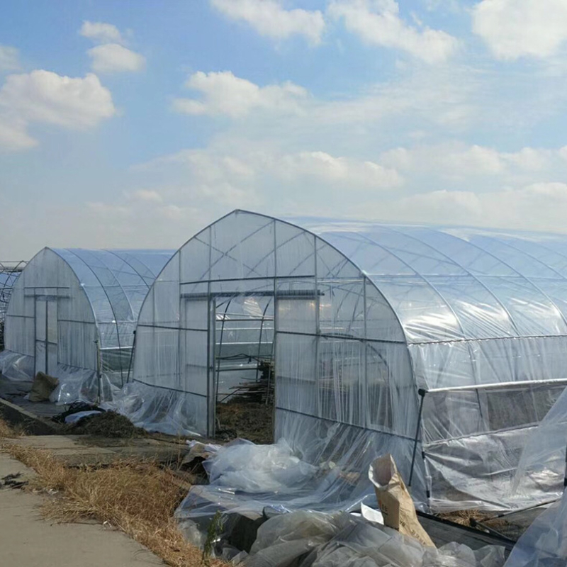 How a Desert Turned Into Europe's Fruit and Vegetable Garden