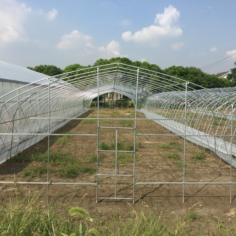 Integration of Chinese and Foreign Wisdom, a Localized Innovative Solution for Low-Energy Consumption and High Yield