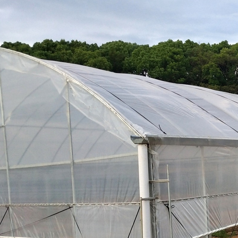 One-Stop Cooperation Plan: Helping You Easily Embark on the Journey of Intelligent Greenhouse Investment