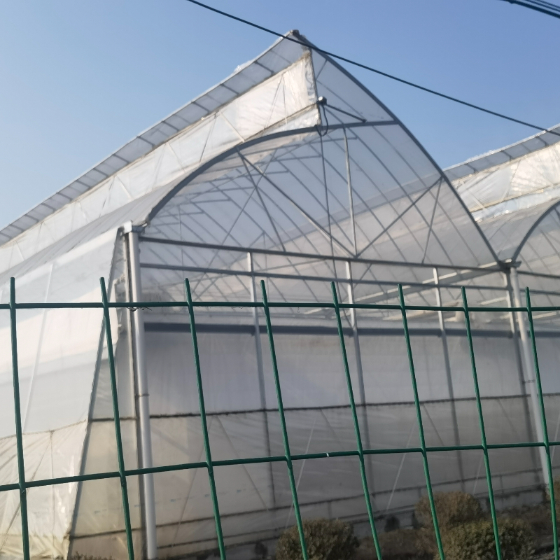 A Cost-Effective Choice, Flexible Cultivation Solution Adapting to Global Climates