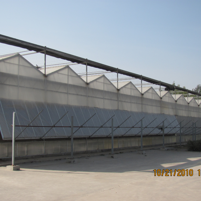Key Considerations When Choosing an Outdoor Greenhouse, Custom Greenhouse, or Mini Green House