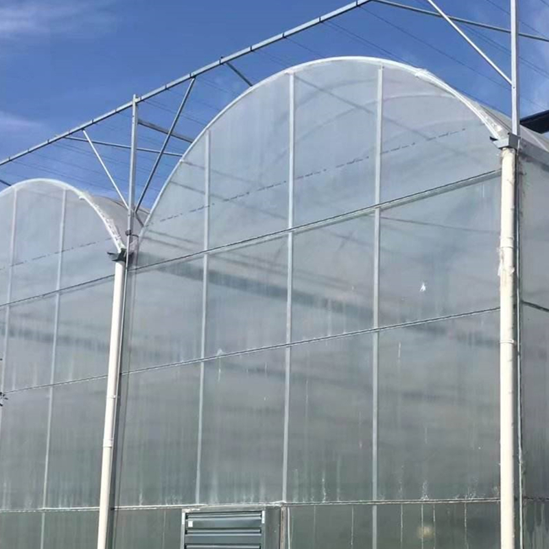 The Working Principle of the Wet Curtain-Fan System: Efficient Cooling for All Greenhouse Types