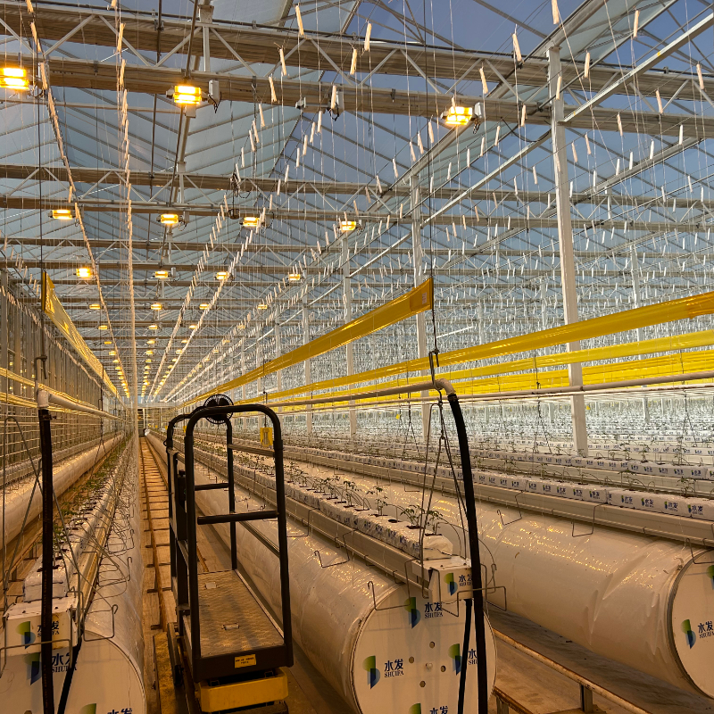 Advancements in Polycarbonate Greenhouse Design for Year-Round Crop Cultivation