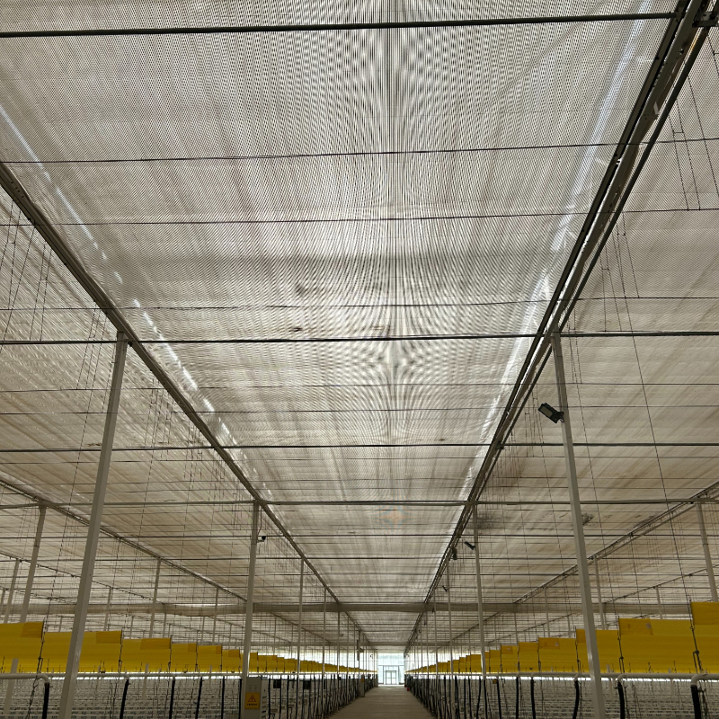 How Modern Polycarbonate Greenhouses Revolutionize Year-Round Crop Production for Global Farmers