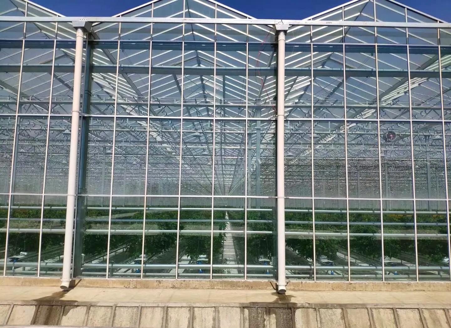 Glass Greenhouse
