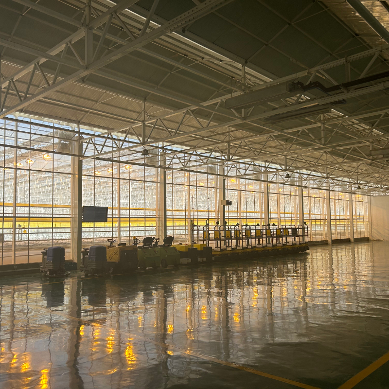 Qingzhou Jinxin Greenhouse Exports High-Wind Resistant Commercial Greenhouses to Australia