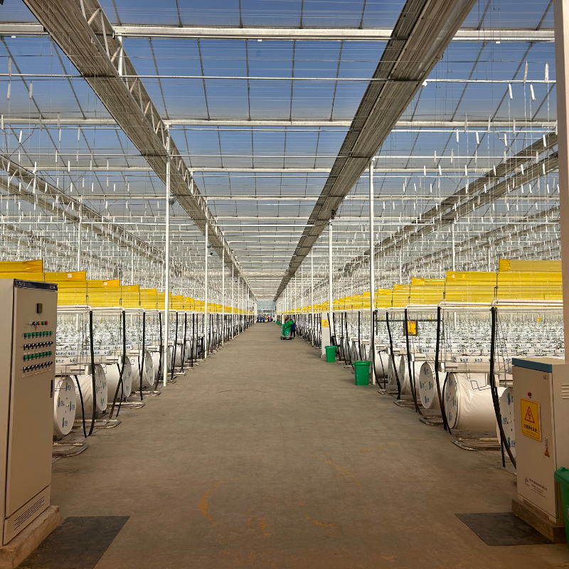Jinxin Container Greenhouse & Smart Greenhouse: Global Solutions for Russia and Brazil