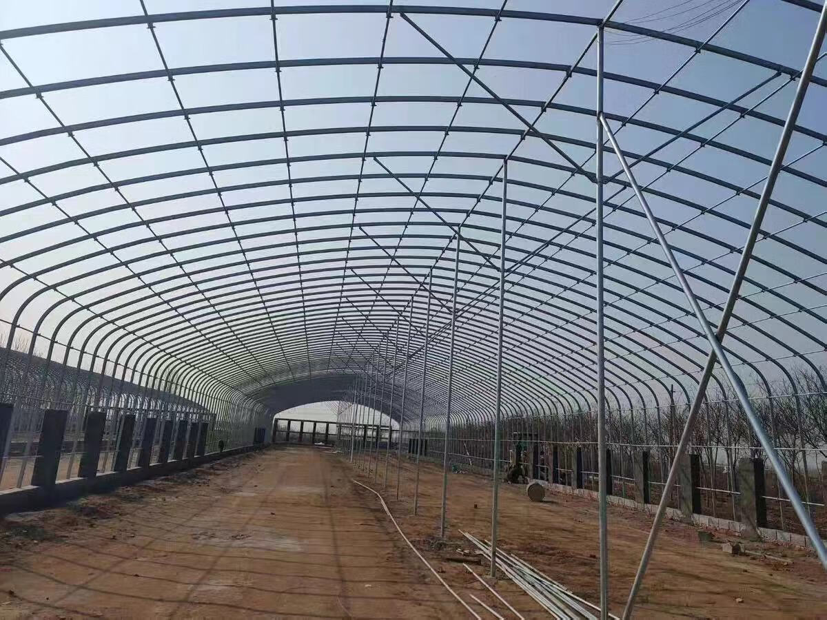 low-carbon agricultural sustainability
