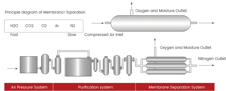Membrane Nitrogen Generator
