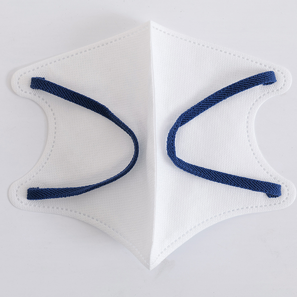 3D Disposable Face Mask