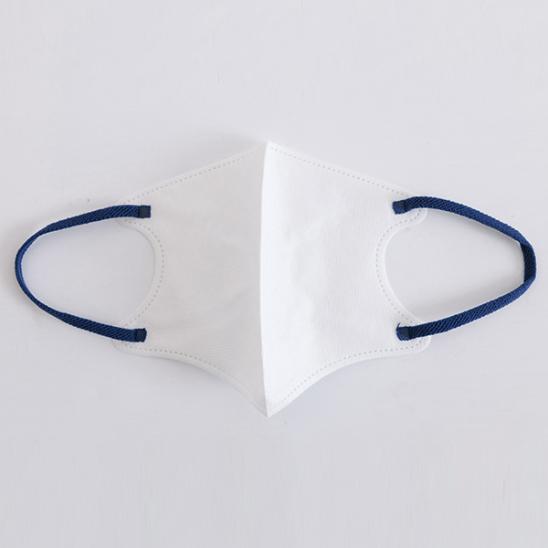Disposable Face Mask