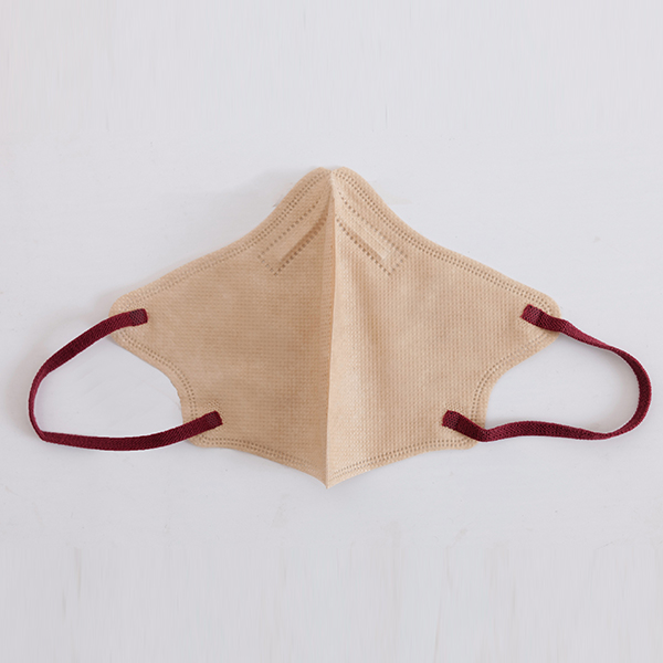 3D Bicolor Disposable Mask