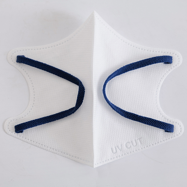 2D Disposable Face Mask