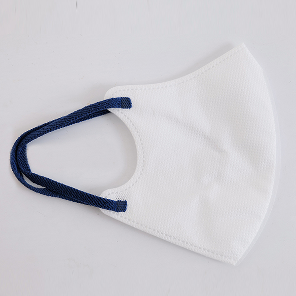 2D Disposable Face Mask