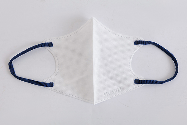 2D Disposable Mask