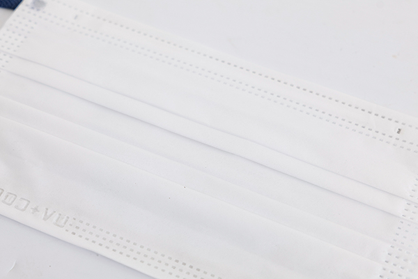 Pocket Disposable Mask