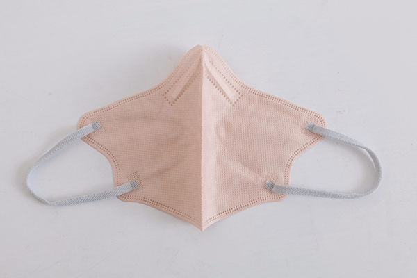 Two-tone Disposable Mask