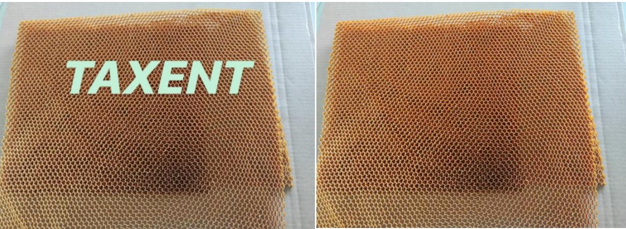4.TAH Soft-Core（Taxent Soft Aramid Honeycomb）