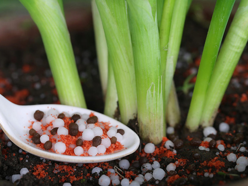 Potassium chloride drying-cooling solutions Potassium chloride drying-cooling solutions