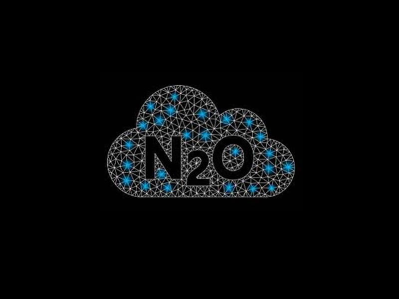 Treatment of nitrous oxide generated in the production of adipic acid Treatment of nitrous oxide generated in the production of adipic acid