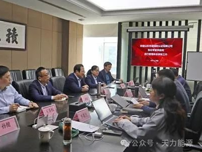 Tianli Energy and its Subsidiaries Successfully Passed the ISO Three-system “Re-certification” Audit