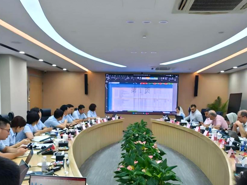 Overseas HDPE Project Held Design Acceptance Meeting, Completing Design Phase Acceptance and Entering a New Stage