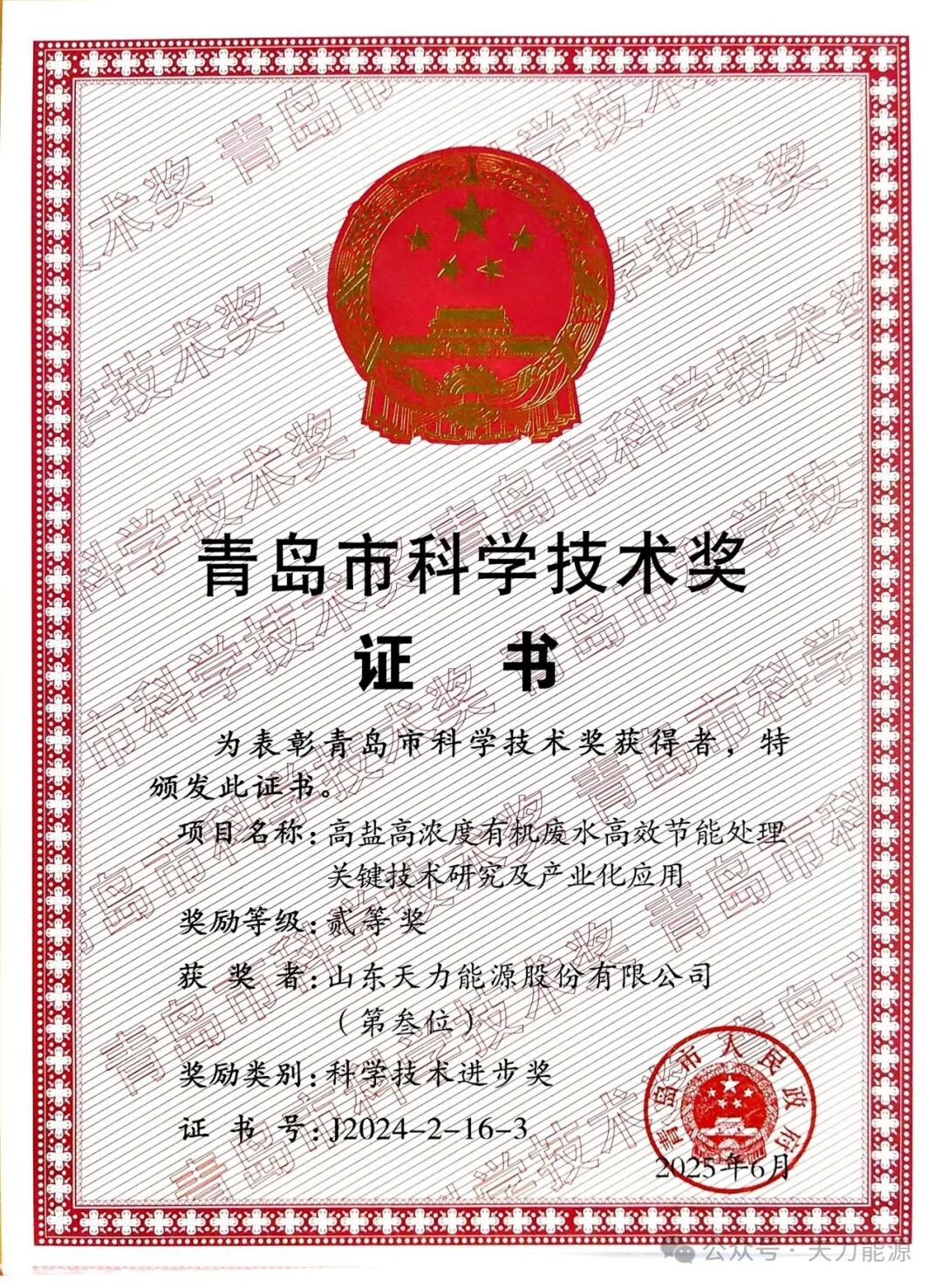 Shandong Tianli Energy Shandong Tianli Energy