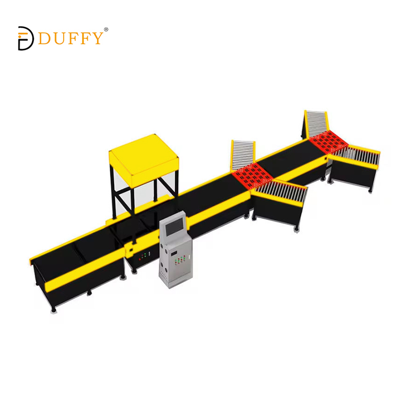 Warehouse Sorting Conveyor Belt System
