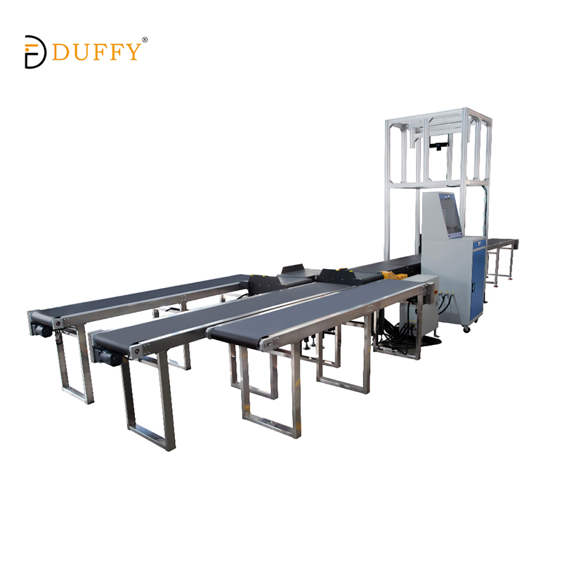 DWS Intelligent Weighing And Sorting System