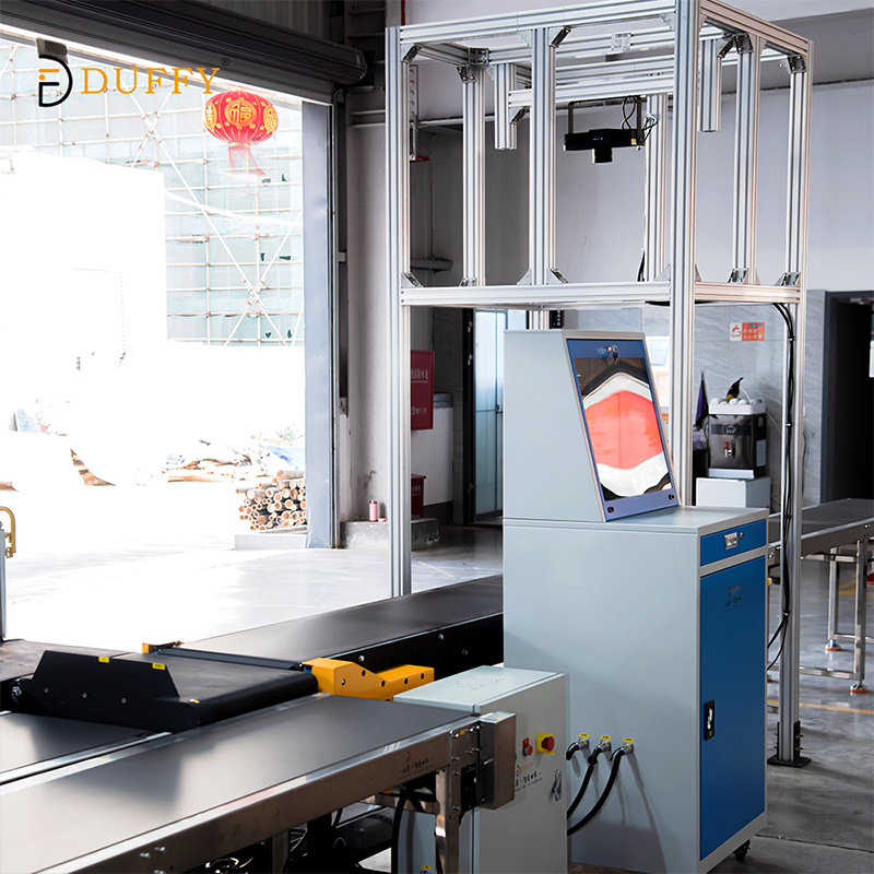 DWS Intelligent Weighing And Sorting System