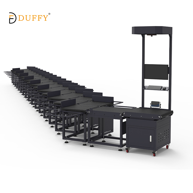 DWS Pro Smart Warehousing Sorting System