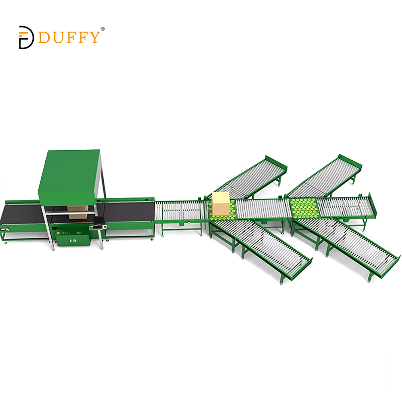 DWS Pro Automatic Sorting System For Warehouses