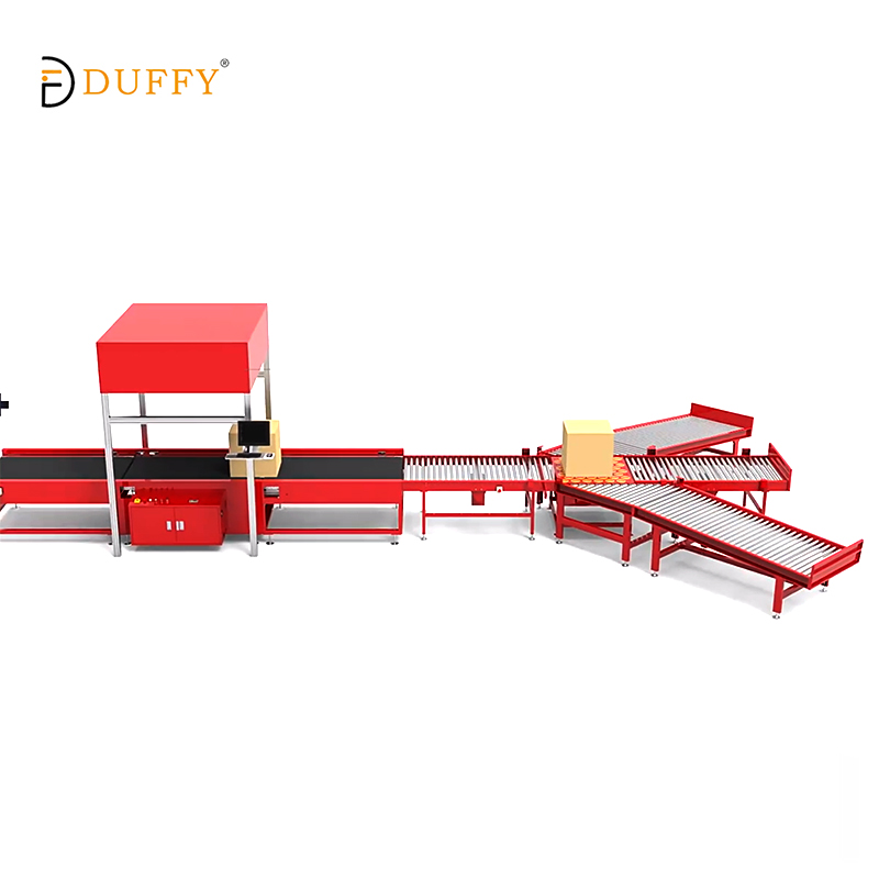 DWS Pro Automatic Sorting System For Warehouses