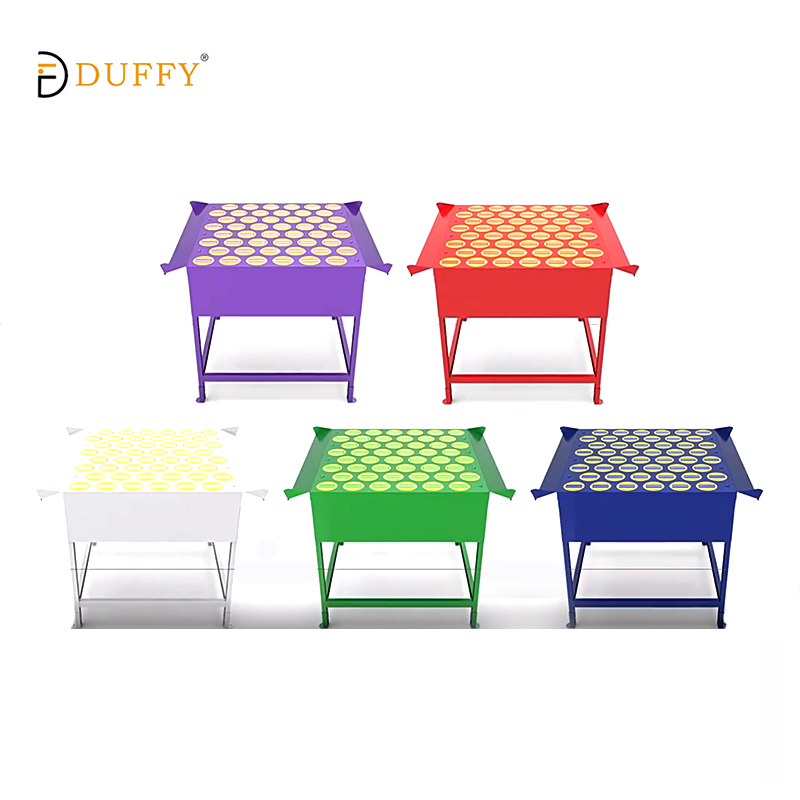 DWS Pro Automatic Sorting System For Warehouses