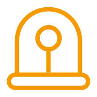 Innovation & Customization