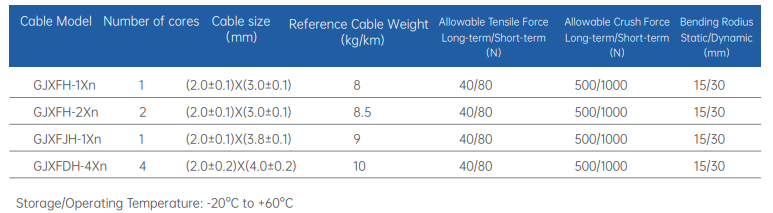 FTTH (Fiber to the Home)