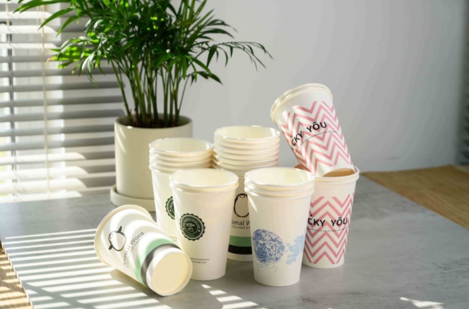 paper cup sizes